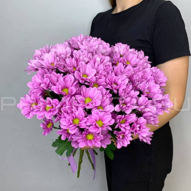 Bouquet of lilac chrysanthemums #H6506