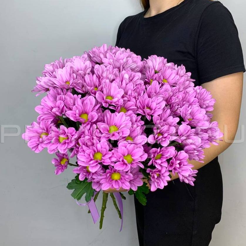 Bouquet of lilac chrysanthemums #H6506 Flowers delivery Vladivostok