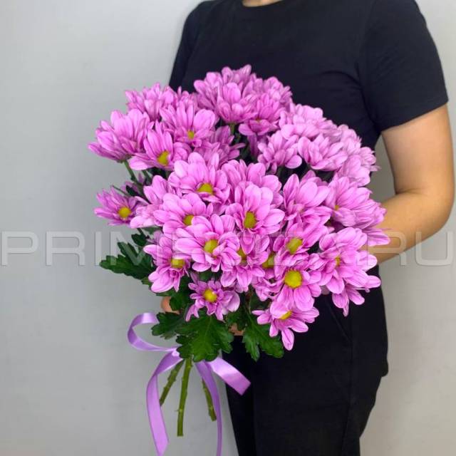 Bouquet of lilac chrysanthemums #H6506
