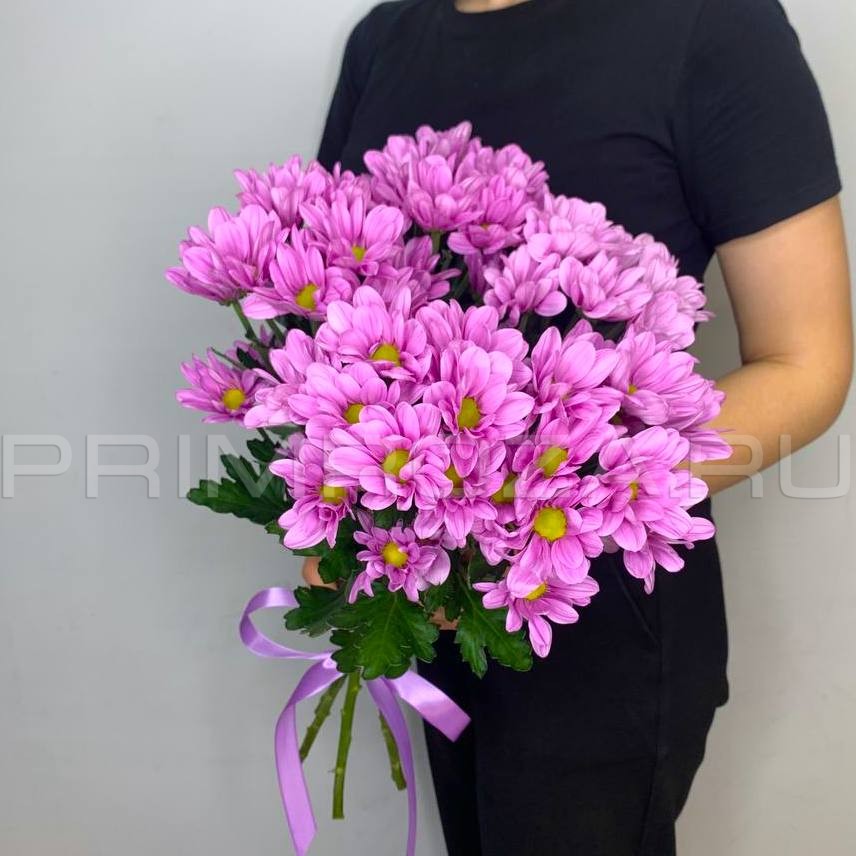 Bouquet of lilac chrysanthemums #H6506 Flowers delivery Vladivostok