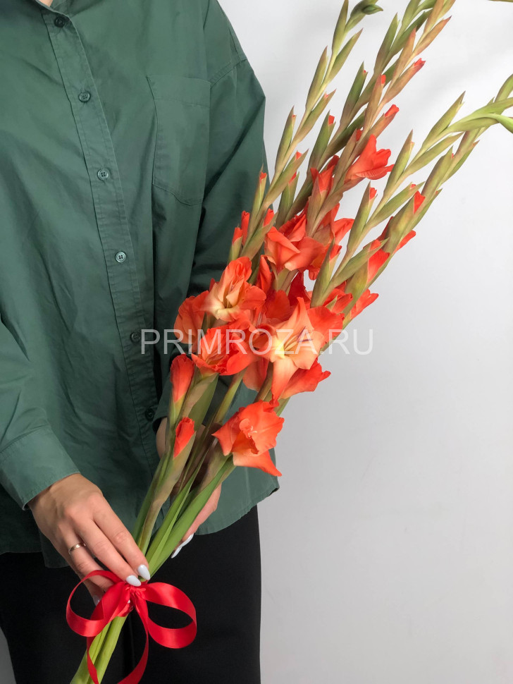 Монобукет из гладиолусов под ленту Flowers delivery Vladivostok