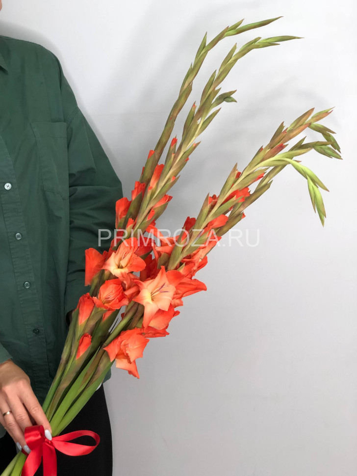 Монобукет из гладиолусов под ленту Flowers delivery Vladivostok