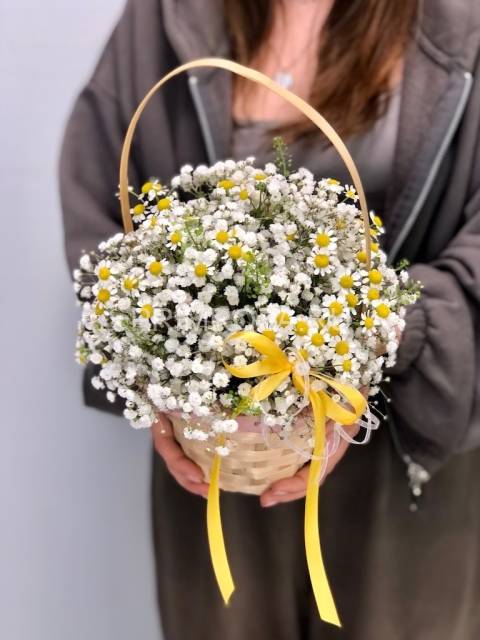 Composition in a box of stabilized gypsophila #M8547