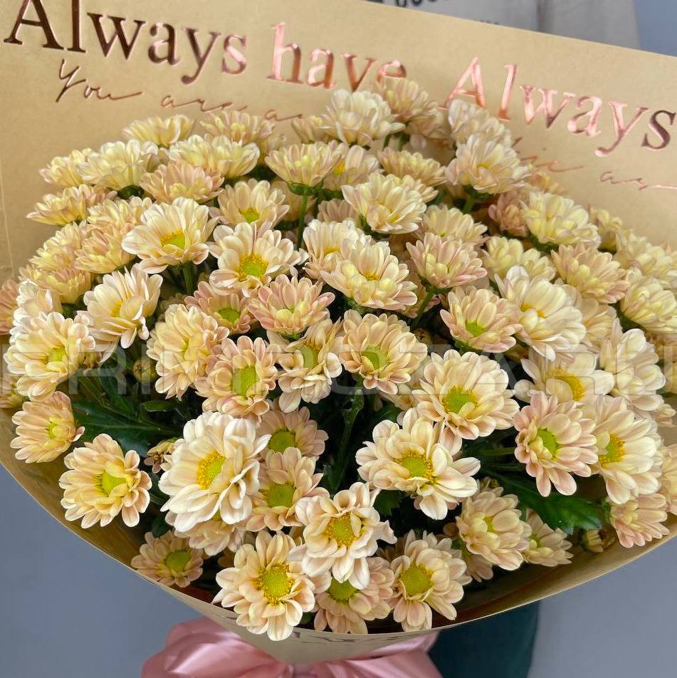 7 Santini Monobook Flowers delivery Vladivostok