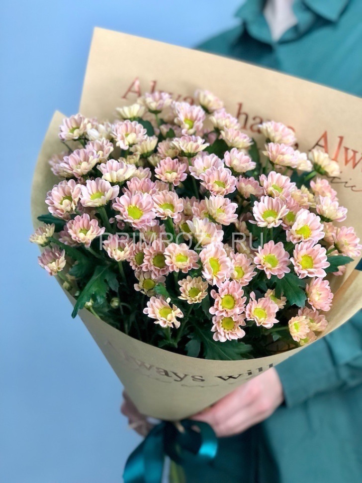 7 Santini Monobook Flowers delivery Vladivostok