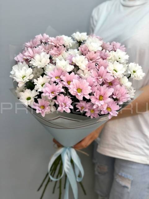 Bouquet of chrysanthemums #H6786