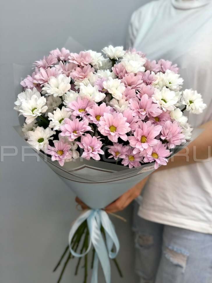 Bouquet of chrysanthemums #H6786 Flowers delivery Vladivostok