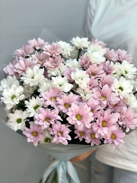Bouquet of chrysanthemums #H6786