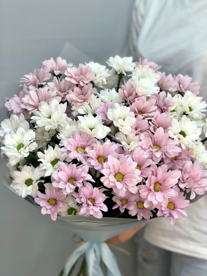 Bouquet of chrysanthemums #H6786 Flowers delivery Vladivostok