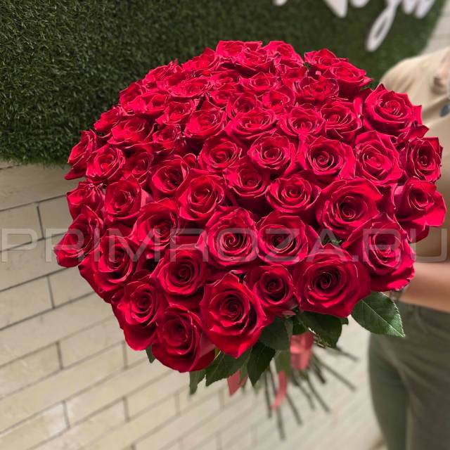 51 roses #R6384