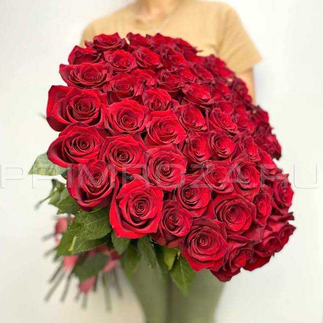 51 roses #R6384