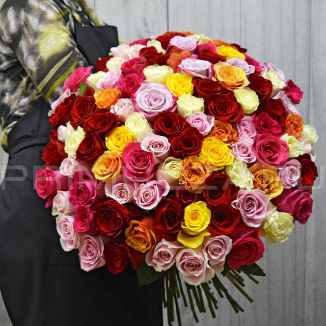 101 rose #R007