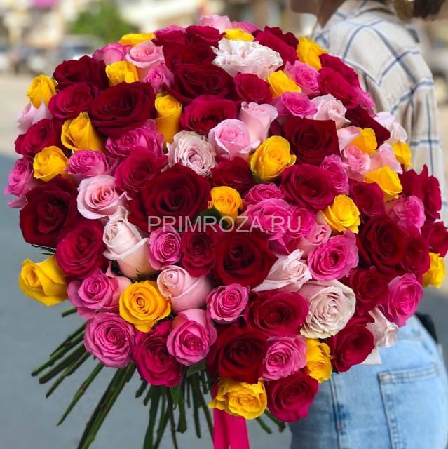 101 rose #R007