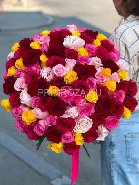 101 rose #R007