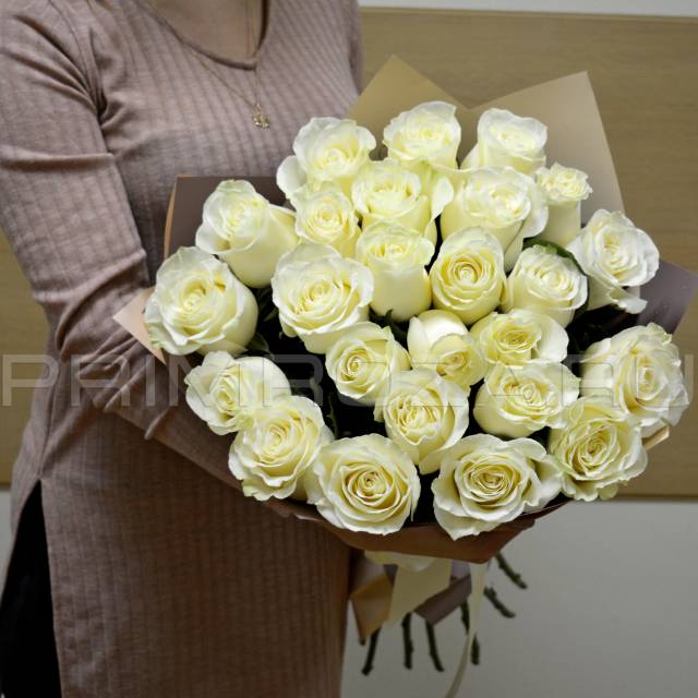 25 roses #R041