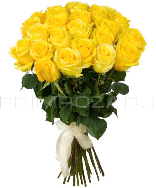 25 roses #R041