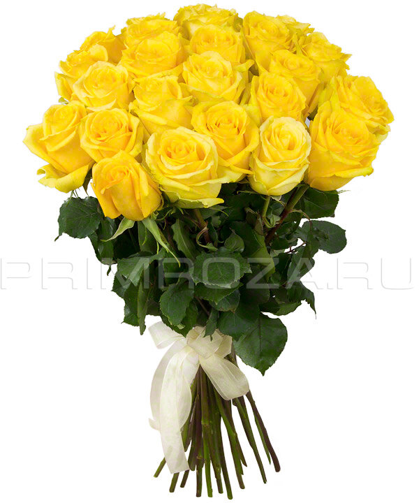 25 roses #R041 Flowers delivery Vladivostok