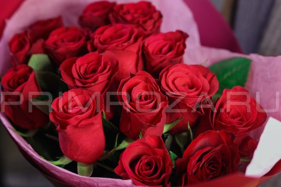 Bouquet of red roses Kenya  Flowers delivery Vladivostok