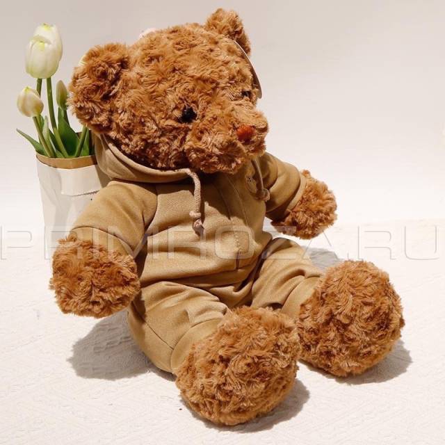 Teddy bear in a 38cm suit