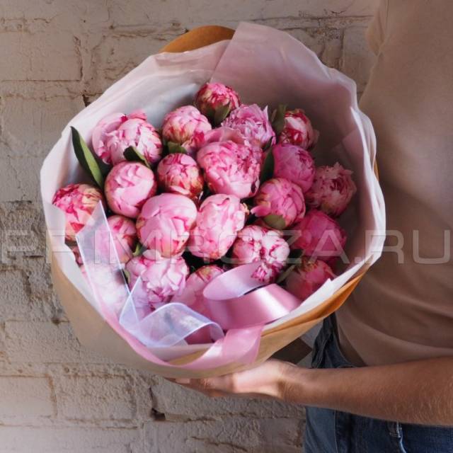 Peonies #P001