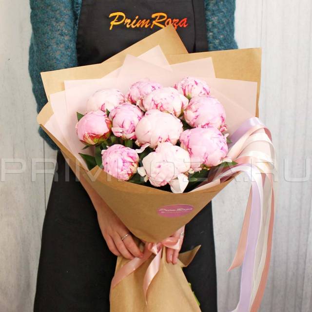 Peonies #P001