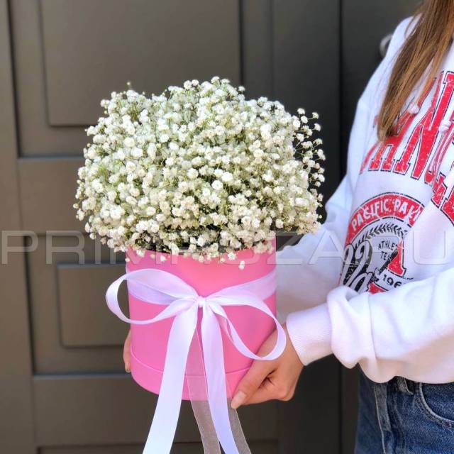 Gypsophila in a decorative box #A5665