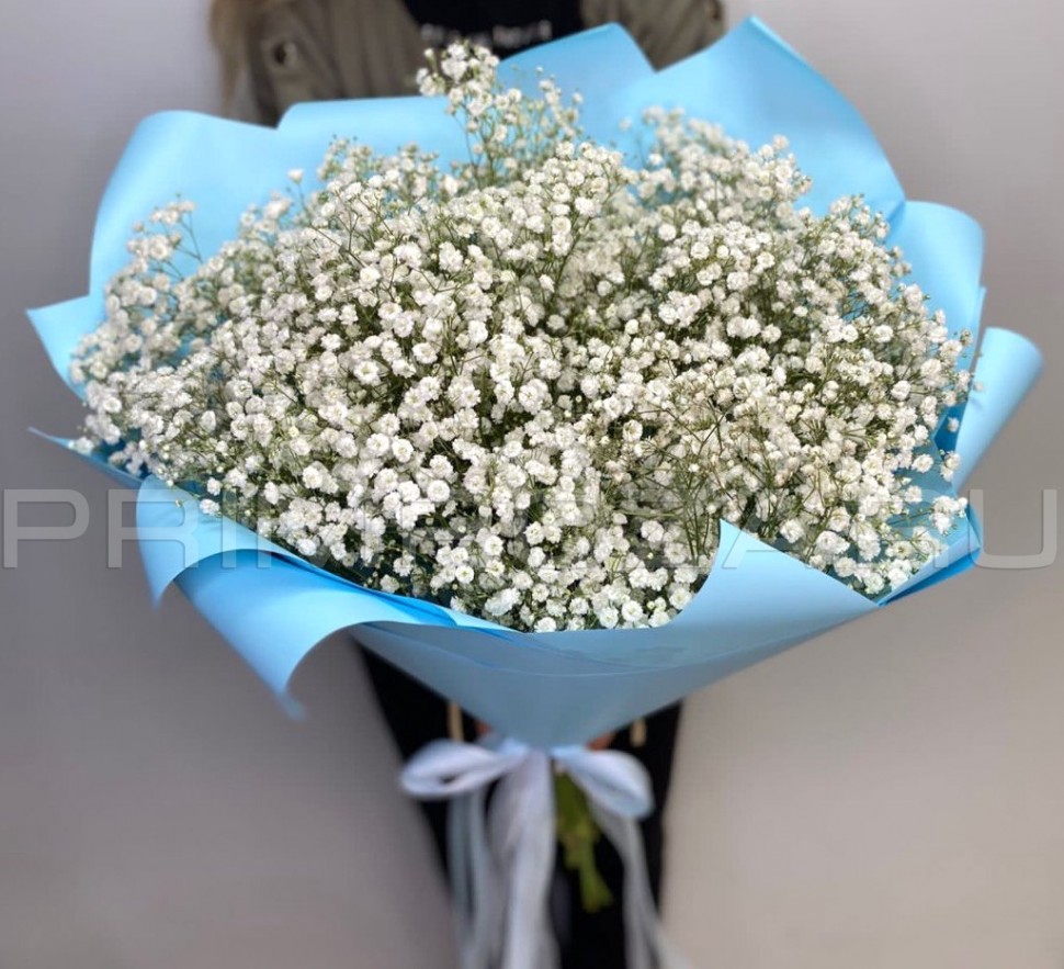 Monobook of 13 gypsophiles #G7653 Flowers delivery Vladivostok
