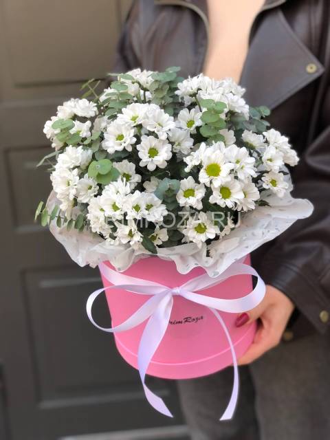 Хризантема сантини в коробке #А1112