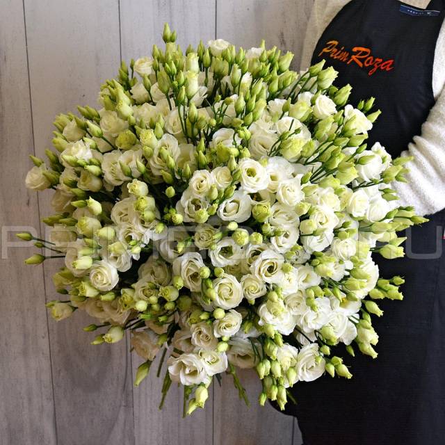 A bouquet of Alpine roses #A001