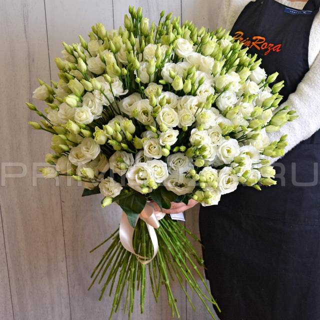 A bouquet of Alpine roses #A001