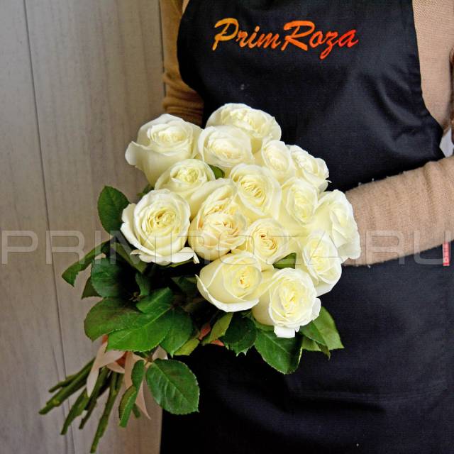 15 roses #R015