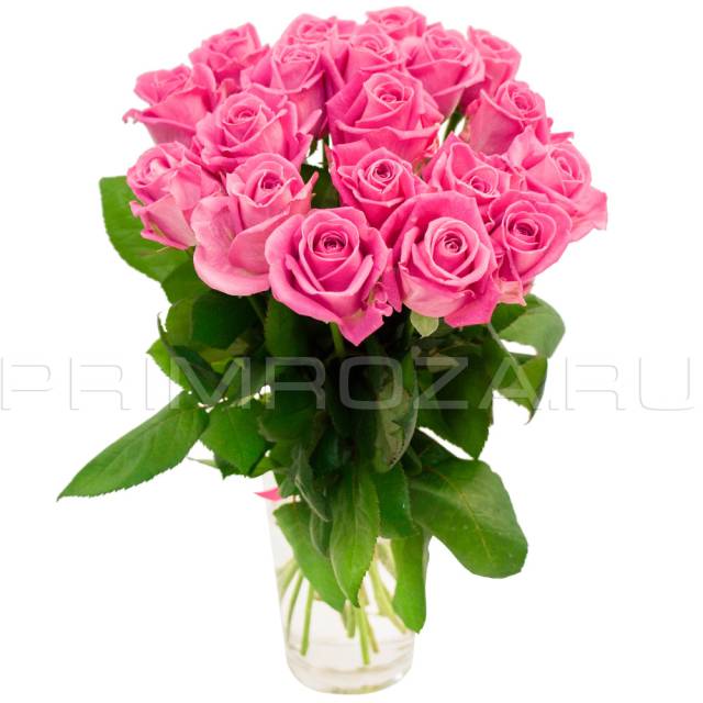 15 roses #R015