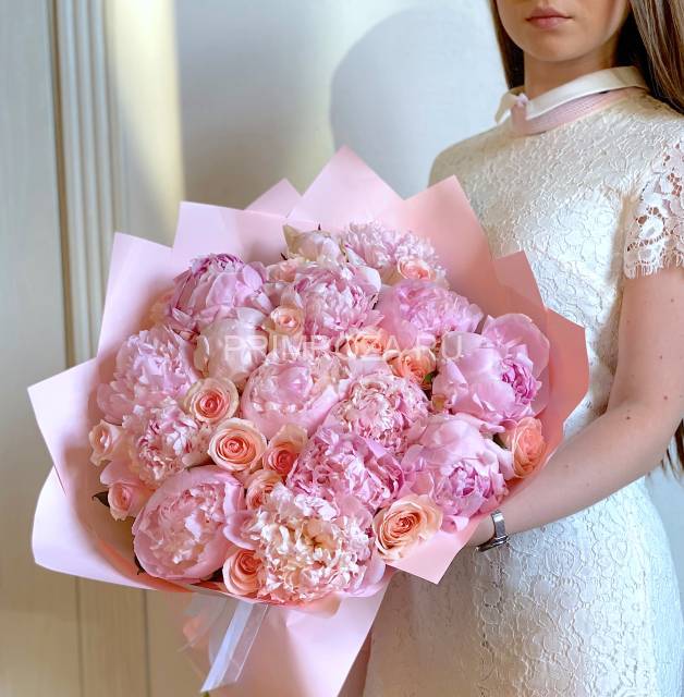 Peonies #P011 