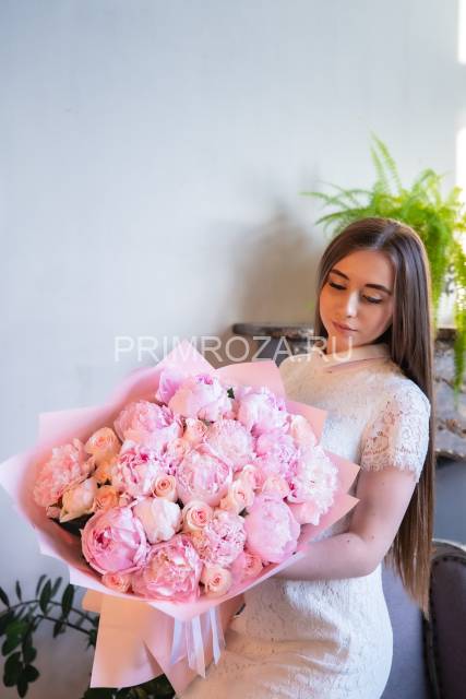 Peonies #P011 