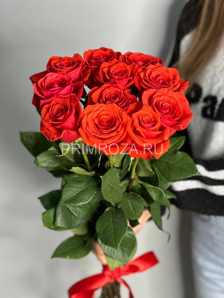 БУКЕТ ИЗ 11  ВЫСОКИХ АЛЫХ РОЗ  #R1145 Flowers delivery Vladivostok
