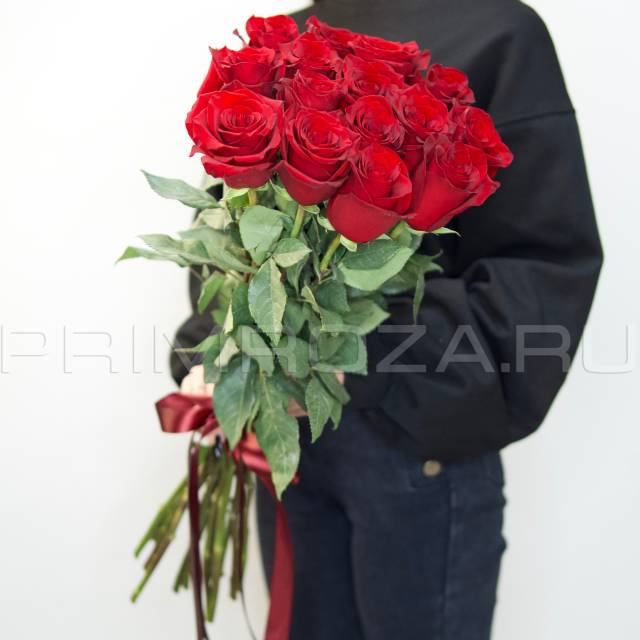 15 Red Tall Roses #DM16