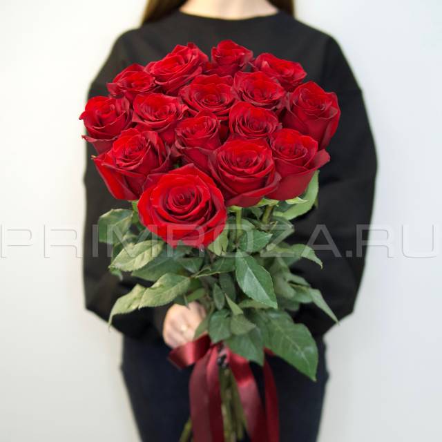 15 Red Tall Roses #DM16