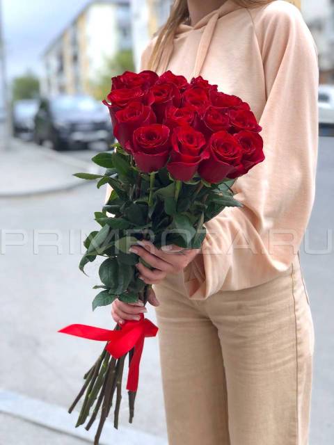 15 Red Tall Roses #DM16