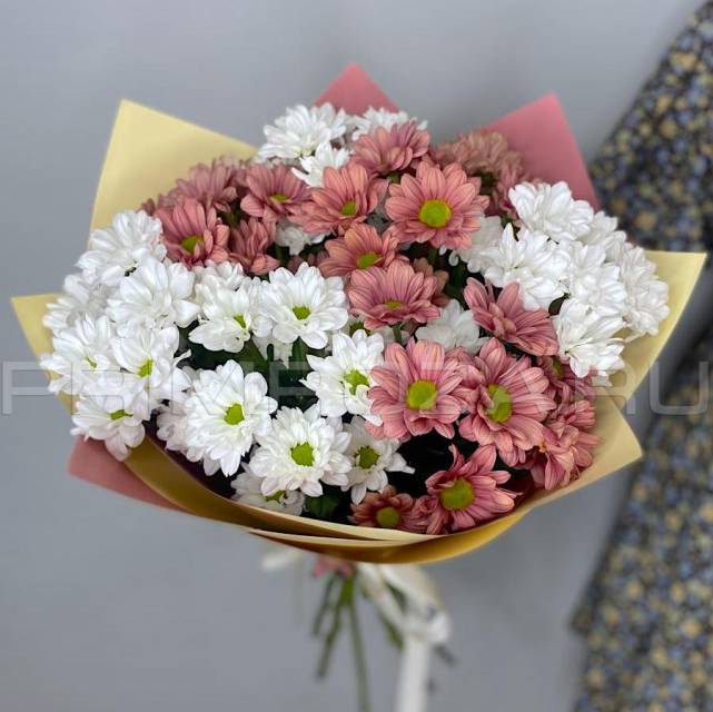 Bouquet of chrysanthemums #A84665