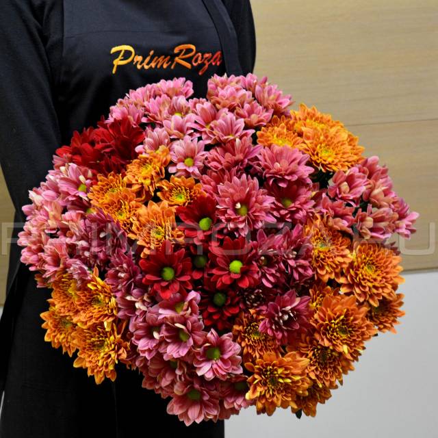A bouquet of chrysanthemums H#0039