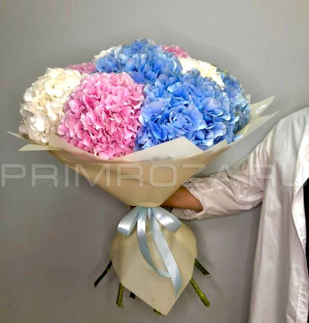 Monobucket of 9 hydrangeas #G5423
