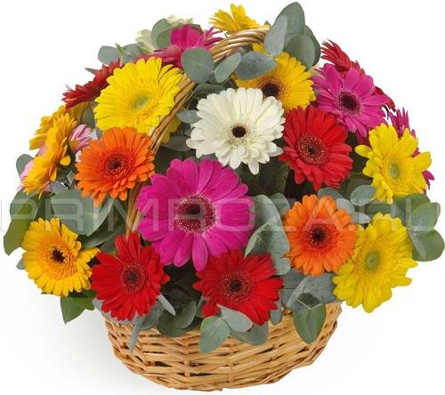 Bouquet of gerberas #G006