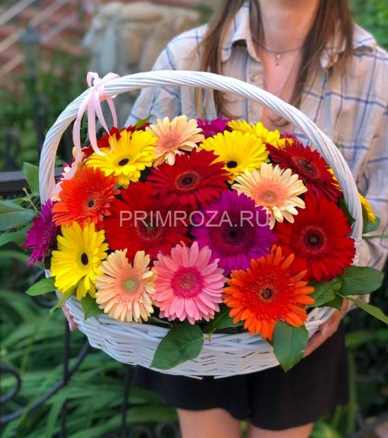 Bouquet of gerberas #G006