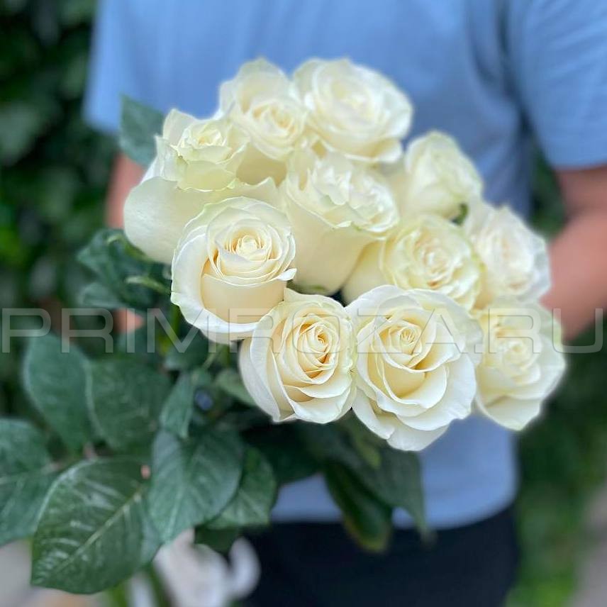BOUQUET OF 11 TALL WHITE ROSES #R01062 Flowers delivery Vladivostok