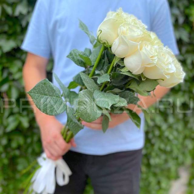 BOUQUET OF 11 TALL WHITE ROSES #R01062