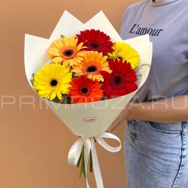 Monobook of 7 gerberas 