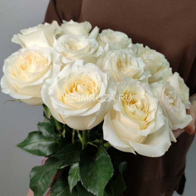 Букет из 15 белых роз #DM027