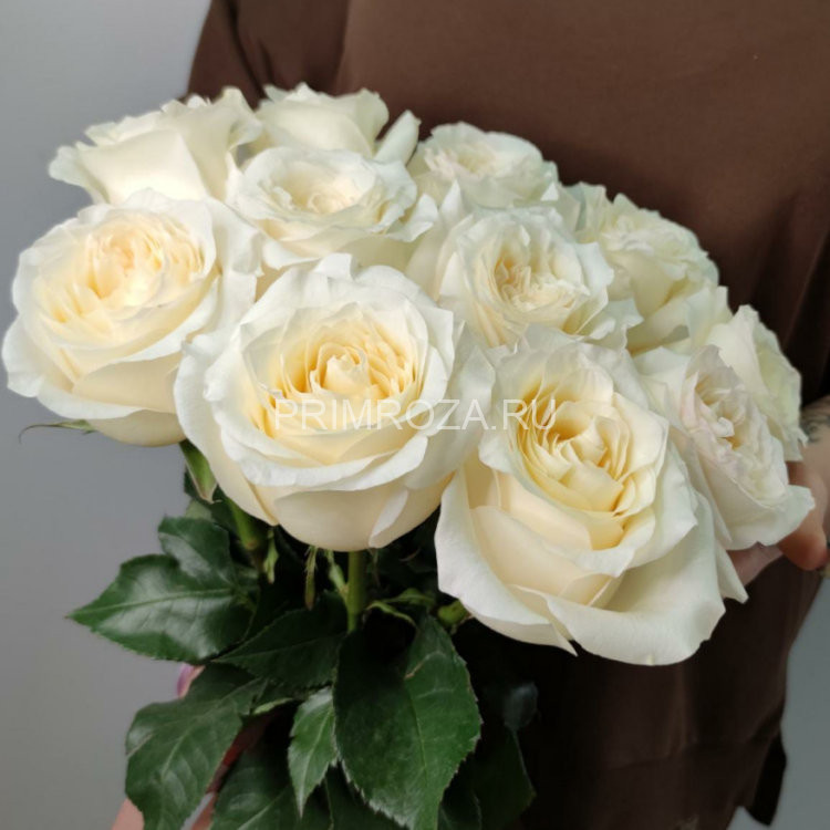 Букет из 15 белых роз #DM027 Flowers delivery Vladivostok