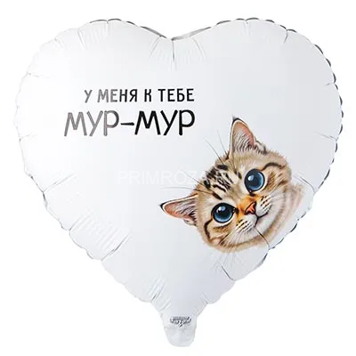 Воздушный шары с надписями (выбор) Flowers delivery Vladivostok