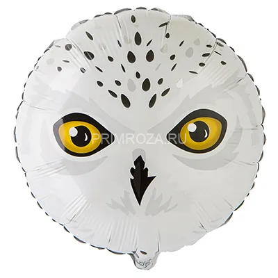 Воздушный шары с надписями (выбор) Flowers delivery Vladivostok